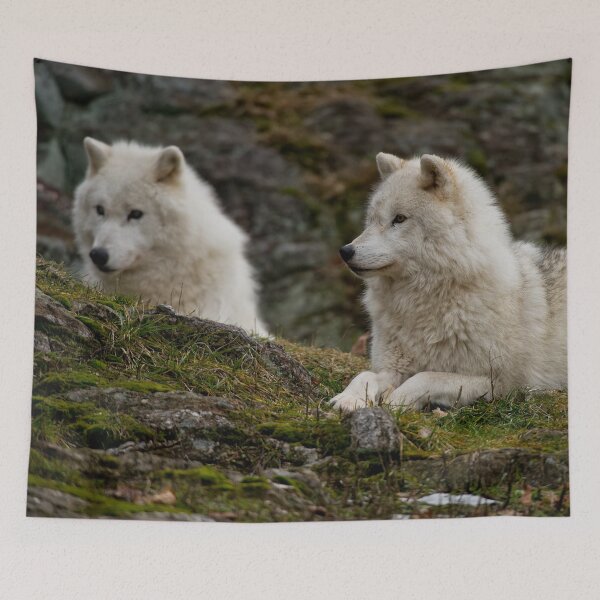 Item preview, Arctic Wolves designed and sold by WolvesOnly.