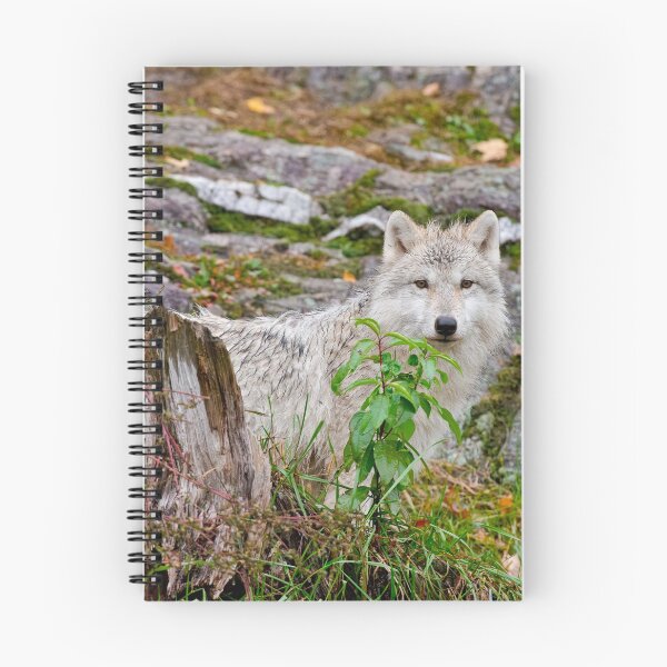 Item preview, Arctic Wolf Pup designed and sold by WolvesOnly.