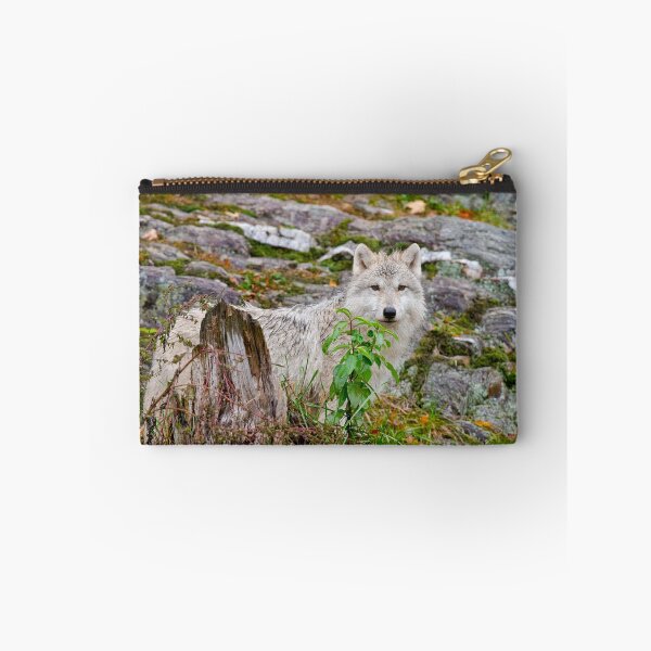 Item preview, Arctic Wolf Pup designed and sold by WolvesOnly.