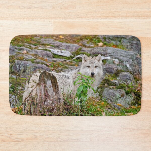 Item preview, Arctic Wolf Pup designed and sold by WolvesOnly.