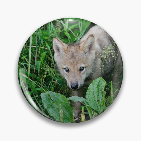Item preview, Timber Wolf Pup designed and sold by WolvesOnly.