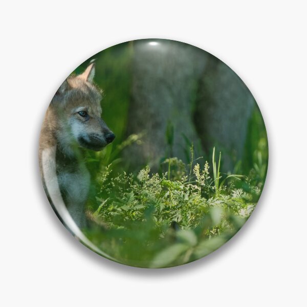 Item preview, Timber Wolf Pup designed and sold by WolvesOnly.