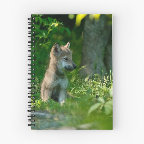 Item preview, Timber Wolf Pup designed and sold by WolvesOnly.