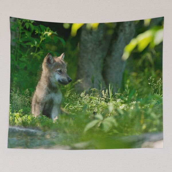 Item preview, Timber Wolf Pup designed and sold by WolvesOnly.