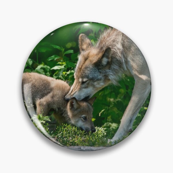Item preview, Timber Wolf And Pup designed and sold by WolvesOnly.