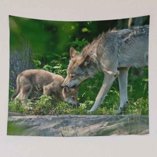 Item preview, Timber Wolf And Pup designed and sold by WolvesOnly.