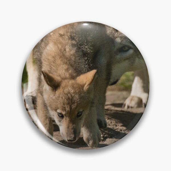 Item preview, Timber Wolf Pup designed and sold by WolvesOnly.