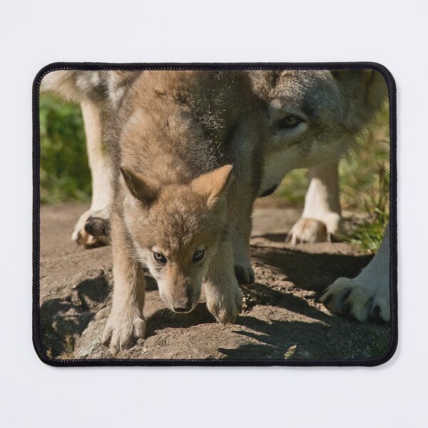 Item preview, Timber Wolf Pup designed and sold by WolvesOnly.