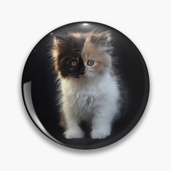Item preview, You can tell me you've met cuter than me, but I don't know if I'll believe you... designed and sold by micklyn.