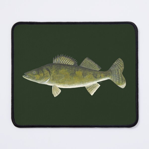 Item preview, Walleye (Sander vitreus) designed and sold by LeakyCanoeArt.