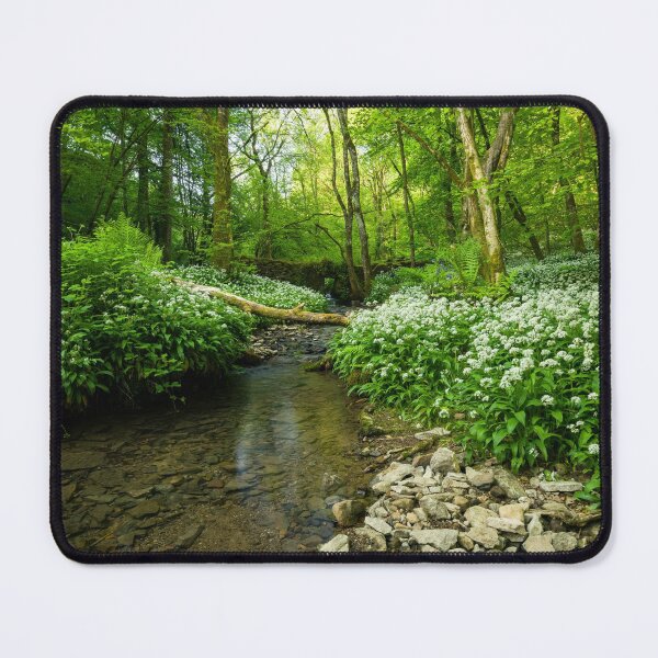 Item preview, Woodland Stream designed and sold by Craig Joiner.
