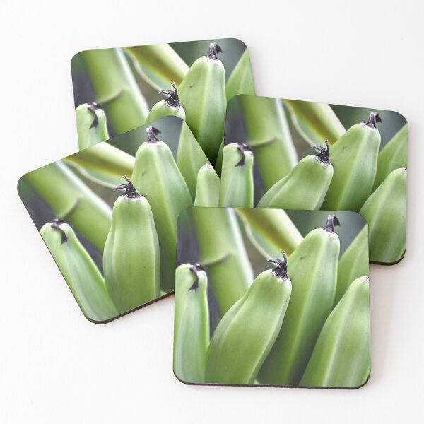 Item preview, Bananas (Musa Ornata) designed and sold by RoxanneG.
