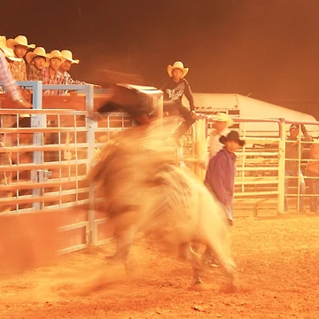 Artwork thumbnail, Rodeo Bull Riding by Roupen BAKER