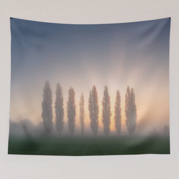 Item preview, Poplar Tree Sunrise designed and sold by Craig Joiner.