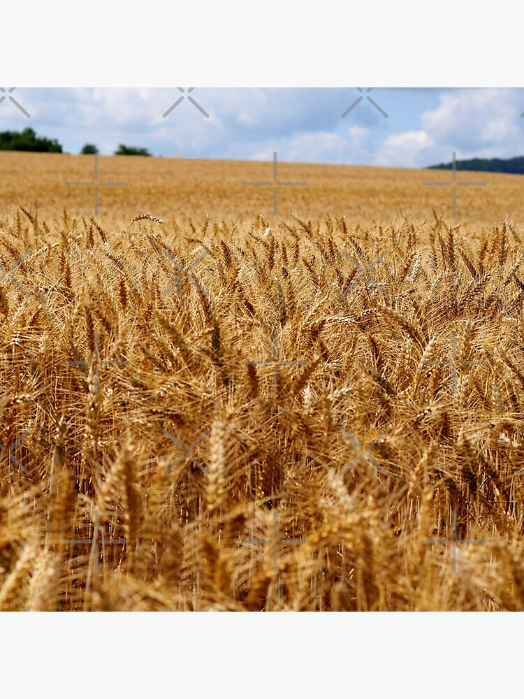 "Bountiful land " Sticker for Sale by thtCMRAguy Redbubble