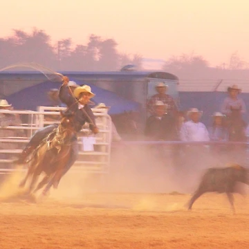 Artwork thumbnail, Rodeo Calf Roping by Roupen BAKER