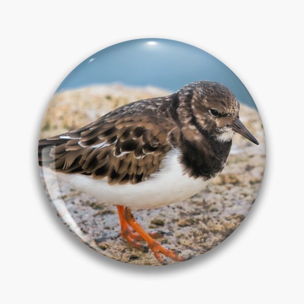 Item preview, Turnstone At The Harbour designed and sold by Dorset Girl.