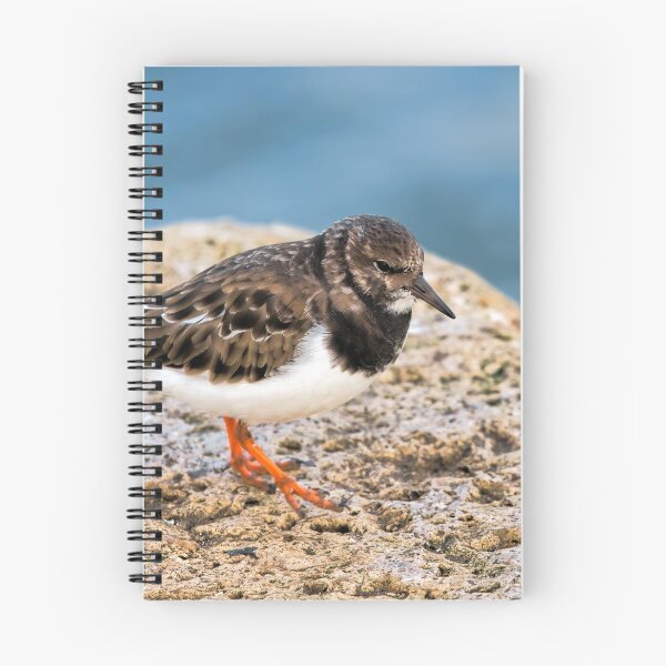 Item preview, Turnstone At The Harbour designed and sold by Dorset Girl.
