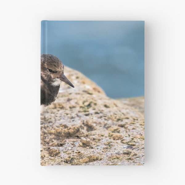 Item preview, Turnstone At The Harbour designed and sold by Dorset Girl.