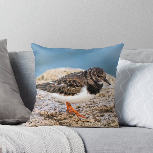 Item preview, Turnstone At The Harbour designed and sold by Dorset Girl.