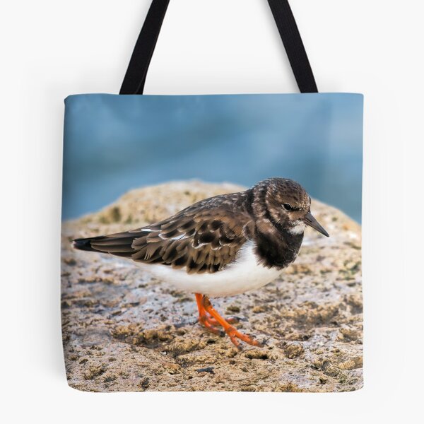 Item preview, Turnstone At The Harbour designed and sold by Dorset Girl.
