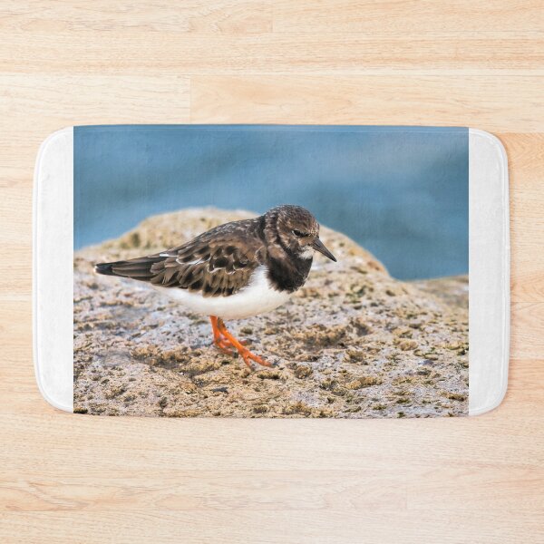 Item preview, Turnstone At The Harbour designed and sold by Dorset Girl.