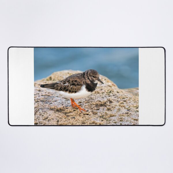 Item preview, Turnstone At The Harbour designed and sold by Dorset Girl.