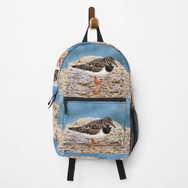 Item preview, Turnstone At The Harbour designed and sold by Dorset Girl.