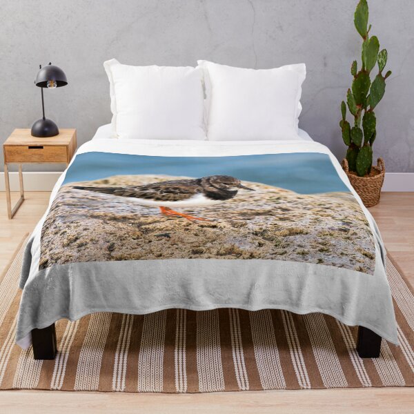 Item preview, Turnstone At The Harbour designed and sold by Dorset Girl.