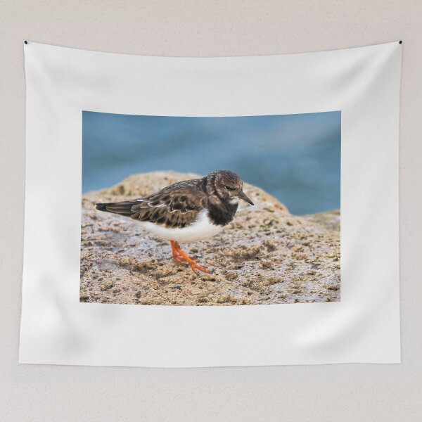 Item preview, Turnstone At The Harbour designed and sold by Dorset Girl.
