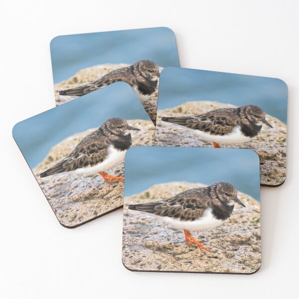 Item preview, Turnstone At The Harbour designed and sold by Dorset Girl.