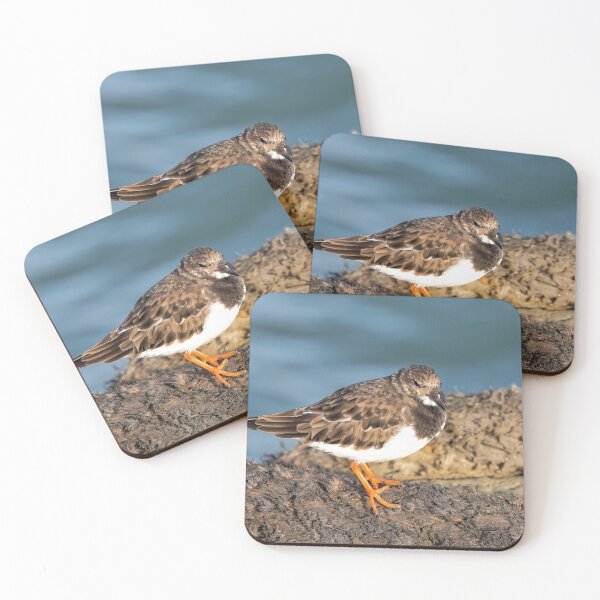 Item preview,  Turnstone At The Harbour designed and sold by Dorset Girl.