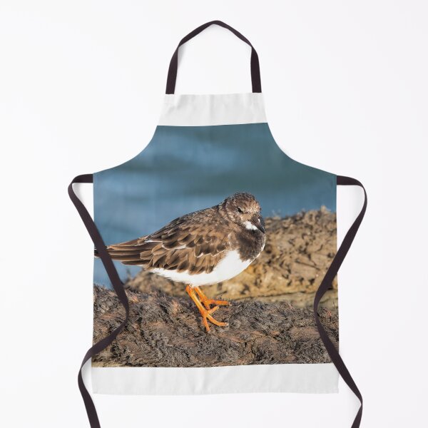 Item preview, Turnstone At The Harbour designed and sold by Dorset Girl.