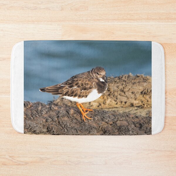 Item preview,  Turnstone At The Harbour designed and sold by Dorset Girl.