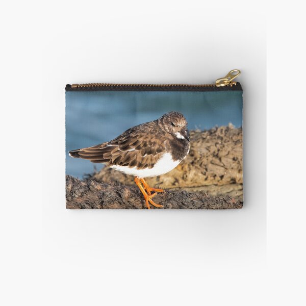 Item preview,  Turnstone At The Harbour designed and sold by Dorset Girl.