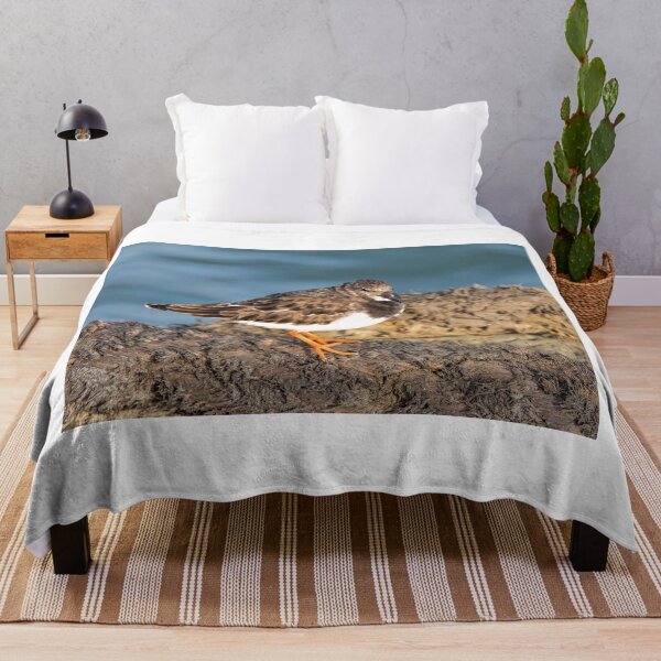 Item preview,  Turnstone At The Harbour designed and sold by Dorset Girl.
