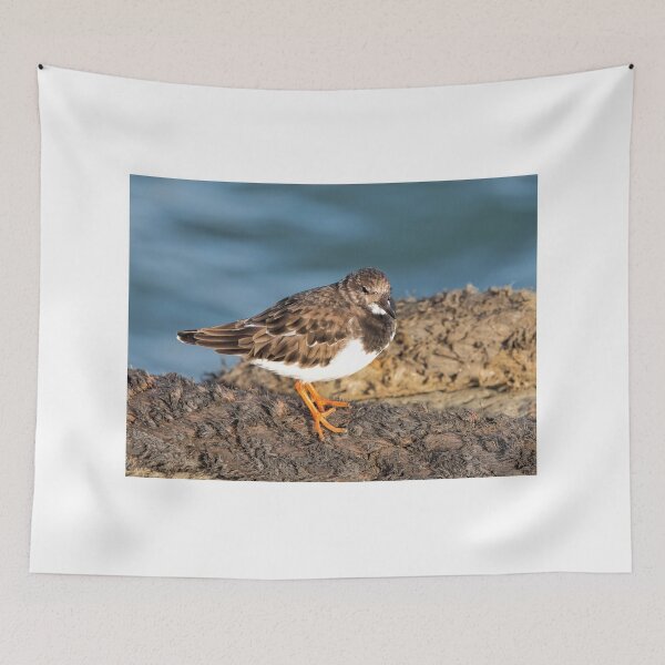 Item preview,  Turnstone At The Harbour designed and sold by Dorset Girl.