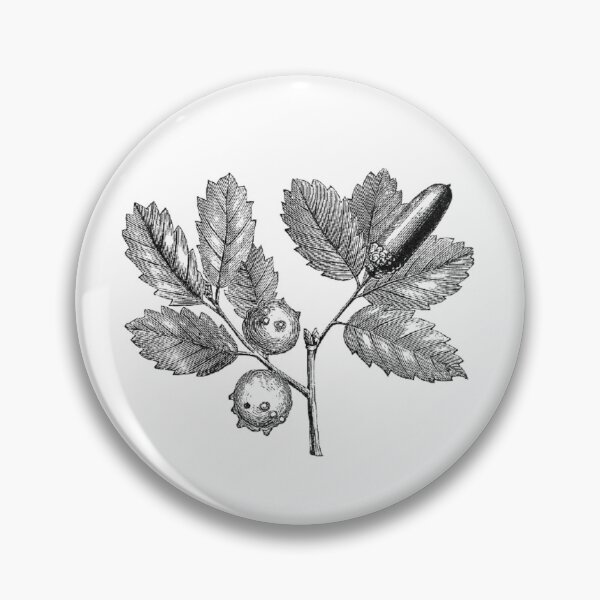 Item preview, Ink Hazelnuts Art Print  designed and sold by Eva Vincent.