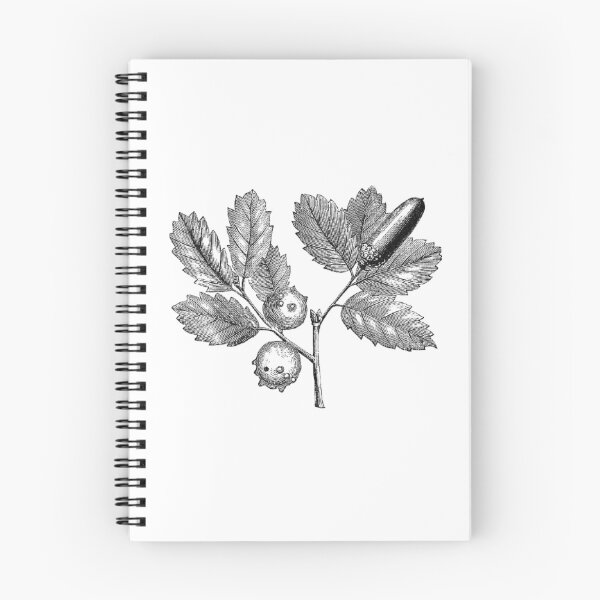Item preview, Ink Hazelnuts Art Print  designed and sold by Eva Vincent.