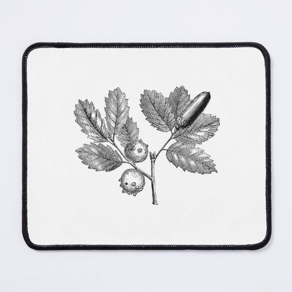 Item preview, Ink Hazelnuts Art Print  designed and sold by Eva Vincent.