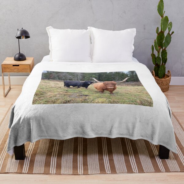 Item preview, Scottish Highland Cattle Bull and Cow 3051 designed and sold by SaarelaHighland.