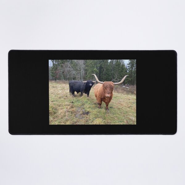 Item preview, Scottish Highland Cattle Bull and Cow 3051 designed and sold by SaarelaHighland.