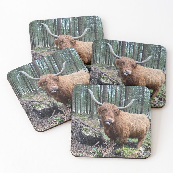 Item preview, Scottish Highland Cattle Cow 3052 designed and sold by SaarelaHighland.