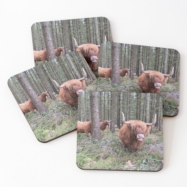 Item preview, Scottish Highland Cattle Cows in forest 3053 designed and sold by SaarelaHighland.