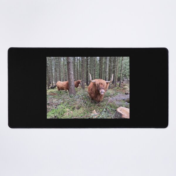 Item preview, Scottish Highland Cattle Cows in forest 3053 designed and sold by SaarelaHighland.