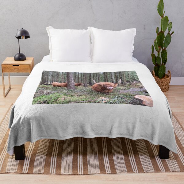 Item preview, Scottish Highland Cattle Cows in forest 3053 designed and sold by SaarelaHighland.