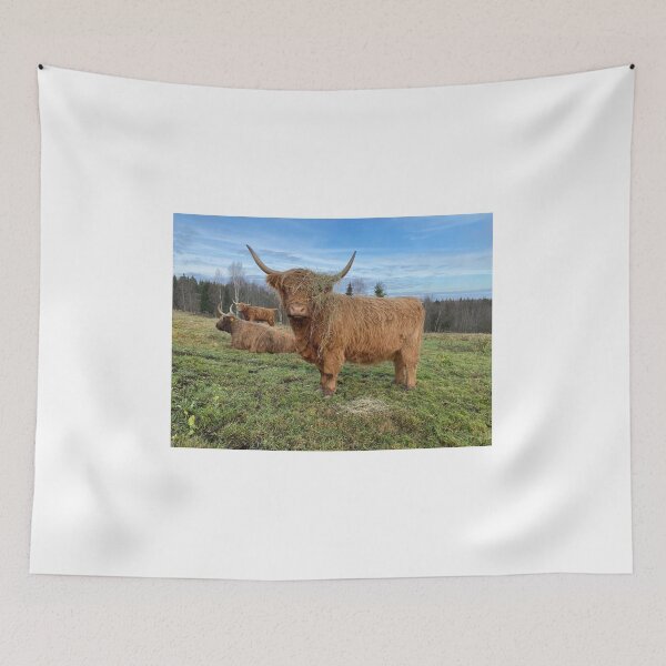 Item preview, Scottish Highland Cattle Cow 3057 designed and sold by SaarelaHighland.