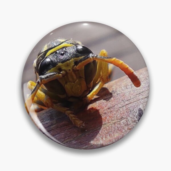 Item preview, Wasp in the window designed and sold by DettyArt.