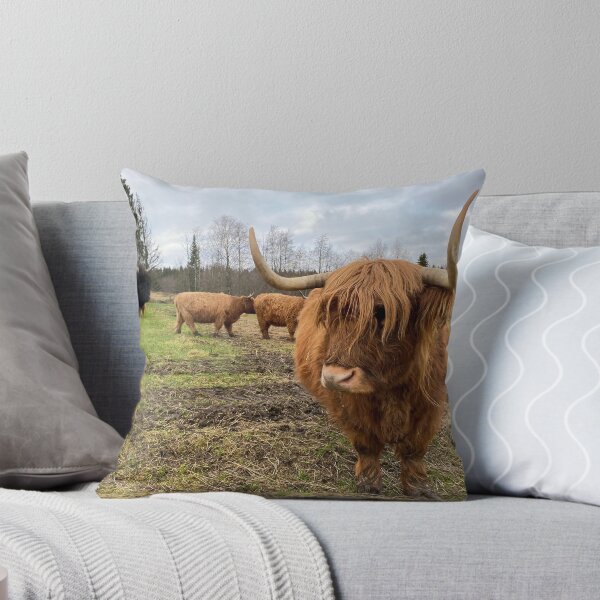 Artikelvorschau, Scottish Highland Cattle Cow 3063 entworfen und verkauft von SaarelaHighland.