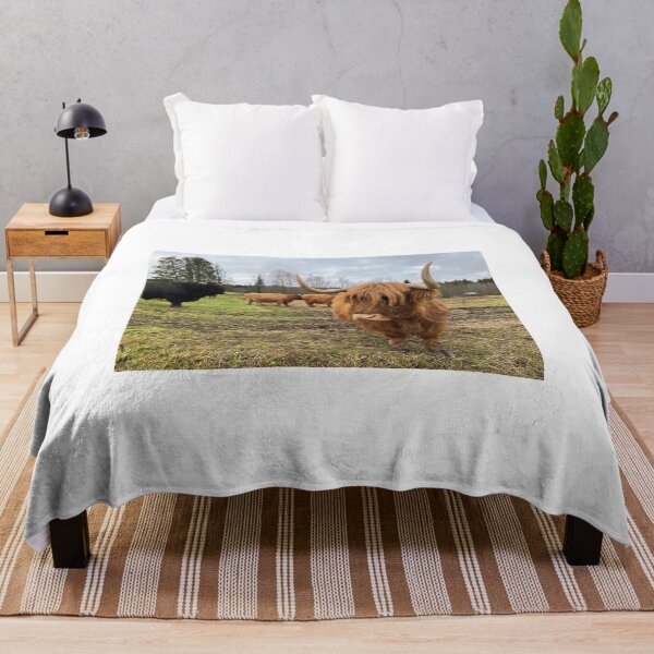 Item preview, Scottish Highland Cattle Cow 3063 designed and sold by SaarelaHighland.